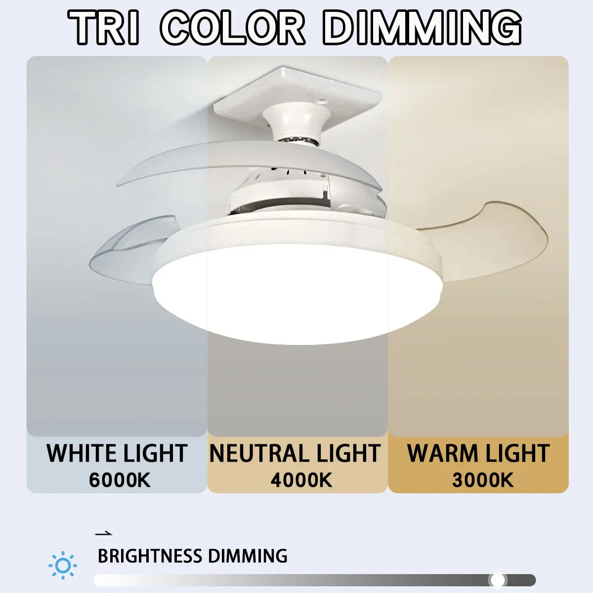 Smart 2-in-1 Screw-In Fan Light